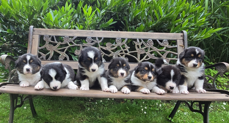 05-L-Wurf-Gruppe-8104