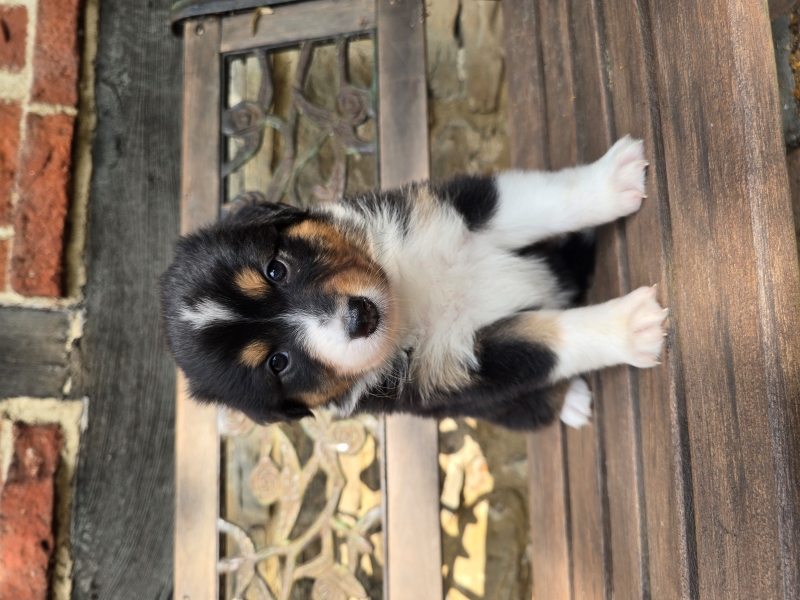 05_Huendin-Alice-7997