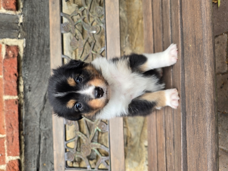 05_Huendin-Tilly-7985