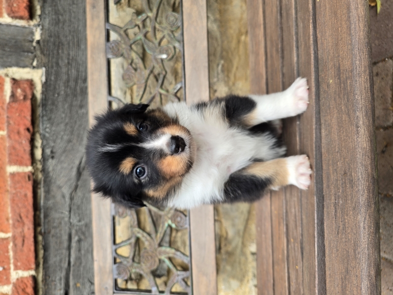 05_Huendin-Tilly-7986