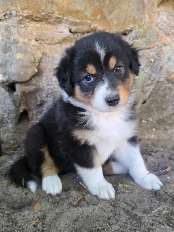 06-Huendin-Alice-431