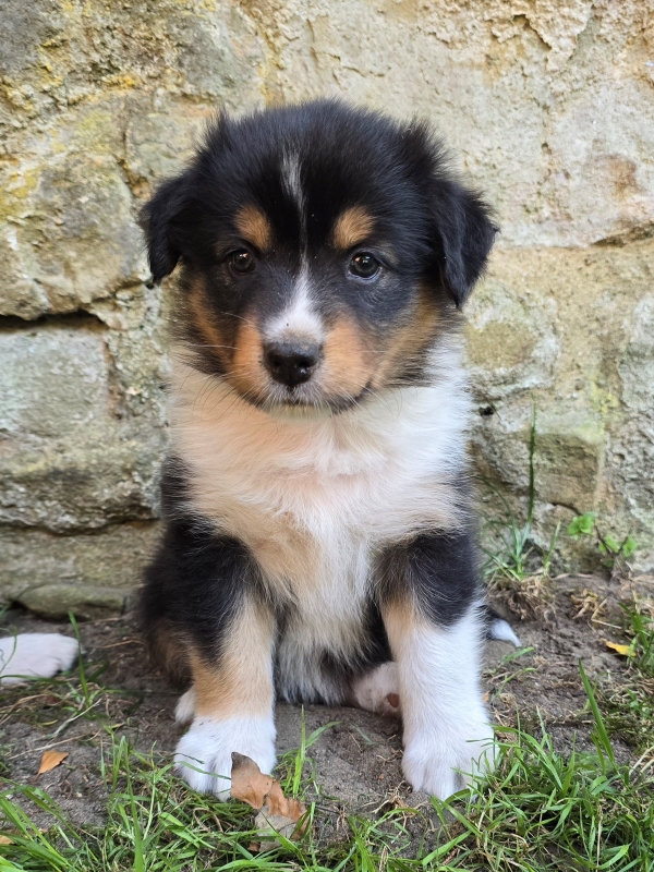 06-Huendin-Tilly-473