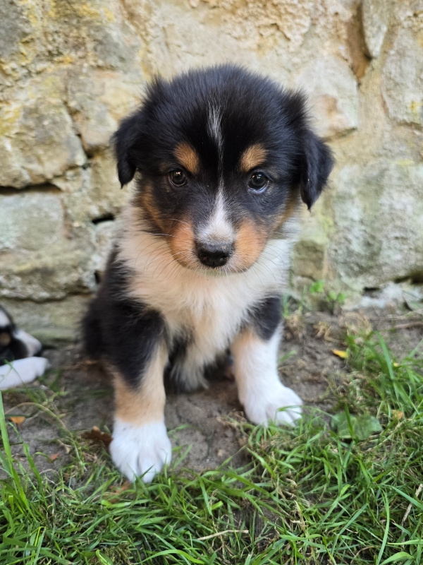 06-Huendin-Tilly-478