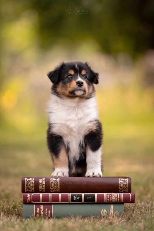 07-Huendin-Tilly-838