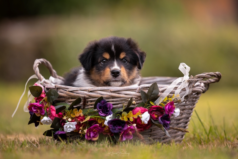 07-Huendin-Tilly-839