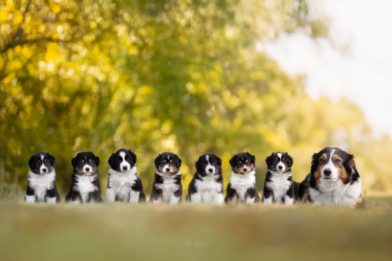 07-L-Wurf-Gruppe-837