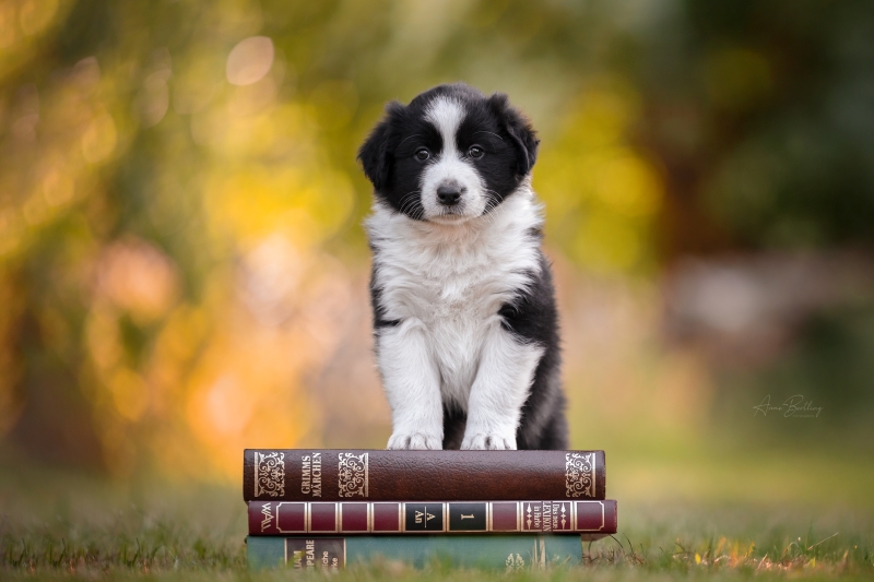 07-Ruede-Chaster-847