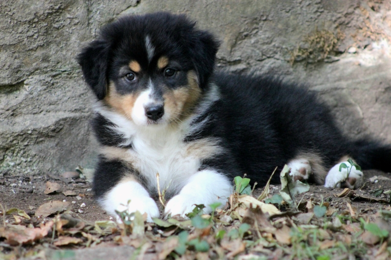 08-Huendin-Alice-3697