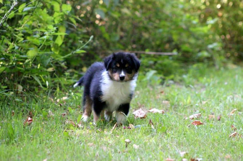 08-Huendin-Tilly-3699