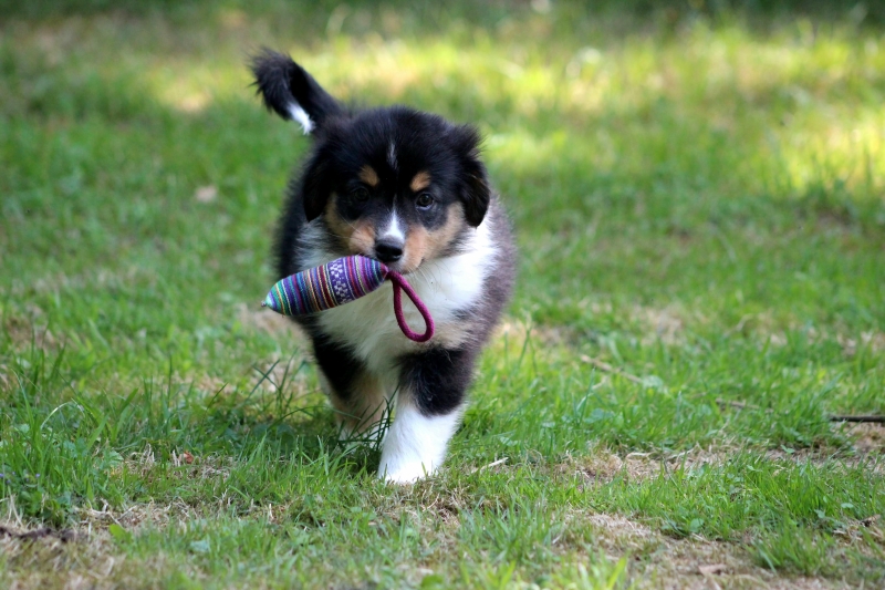 08-Huendin-Tilly-3704