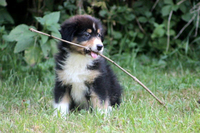 08-Ruede-Charly-3694