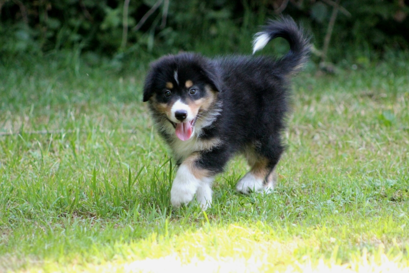 08-Ruede-Charly-3695