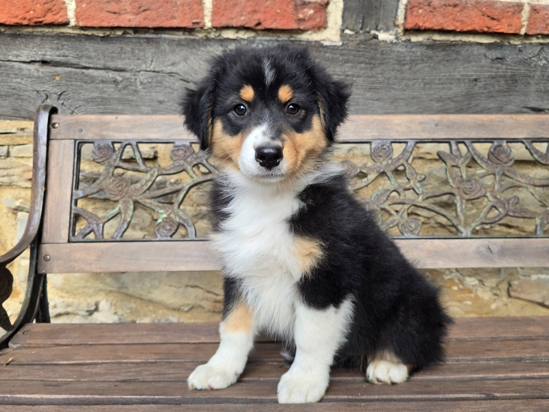 09-Huendin-Alice-5683