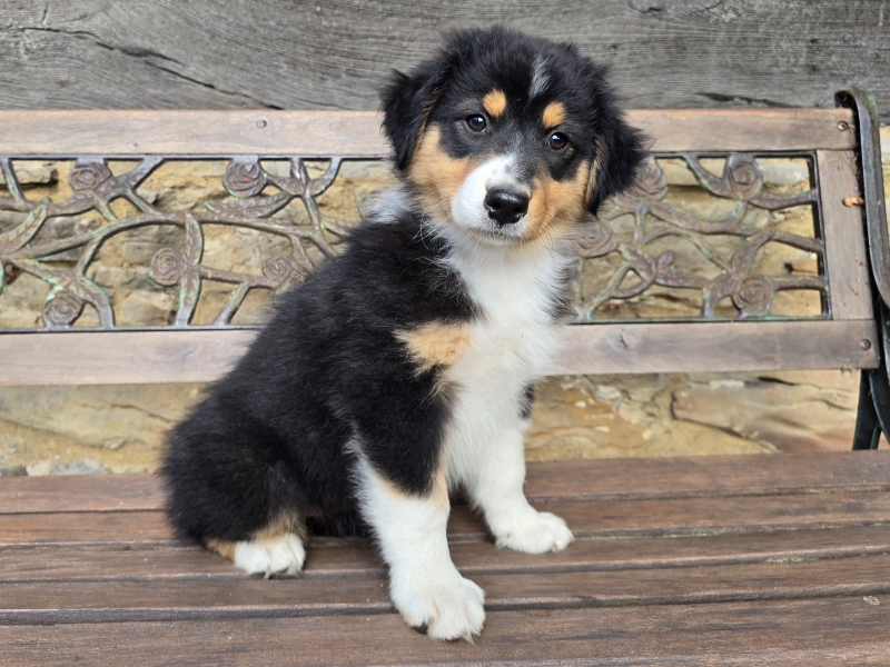 09-Huendin-Alice-5689