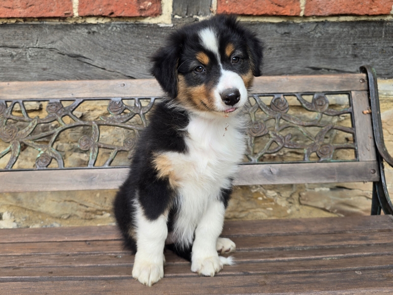 09-Huendin-Pixie-5695