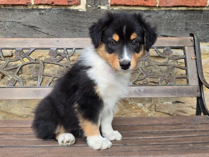 09-Huendin-Tilly-5698