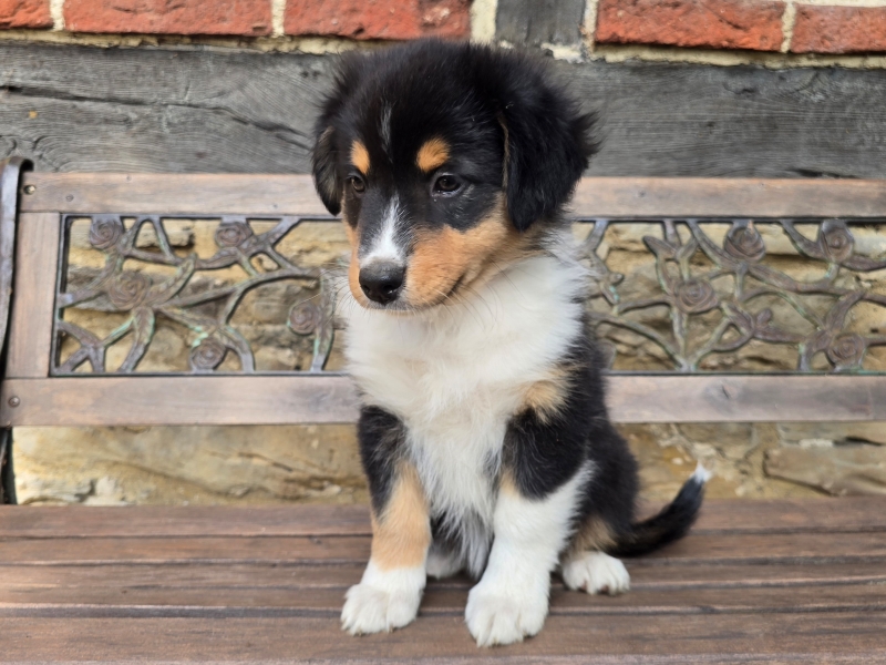 09-Huendin-Tilly-5701