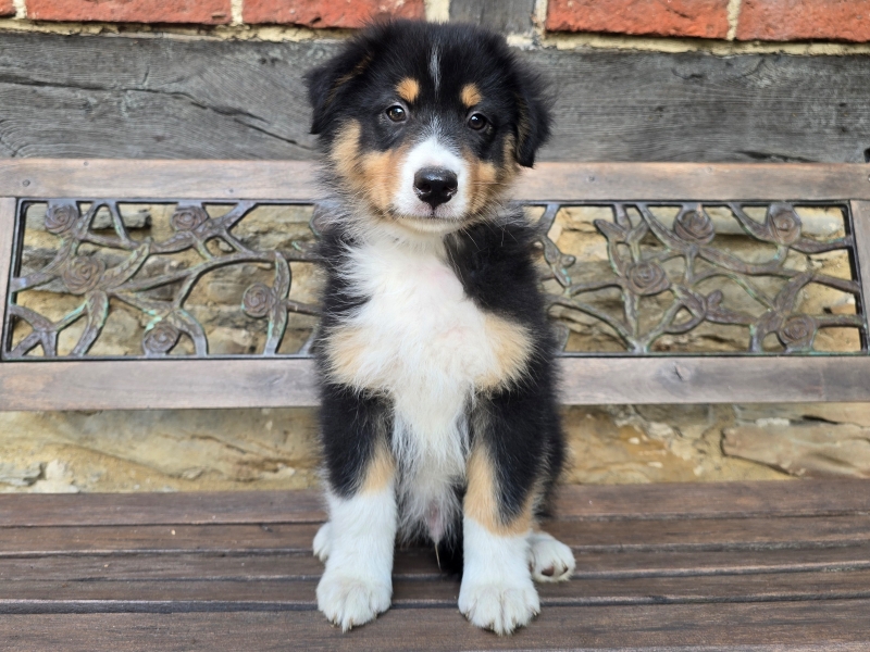 09-Ruede-Charly-5660