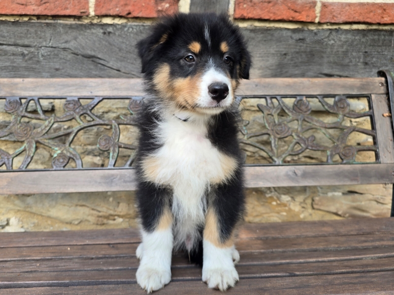 09-Ruede-Charly-5663