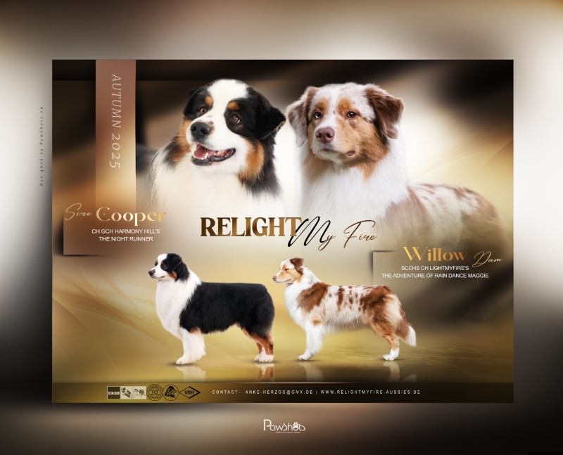 Wurfplanung2025-Willow-Cooper254